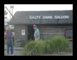 R&R after a hard cruise - Homer Spit - Kachemak Bay Image