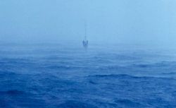 Buoy riders in the mist Image