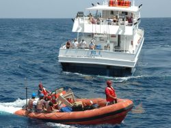 RHIB of NOAA Ship RONALD H Image