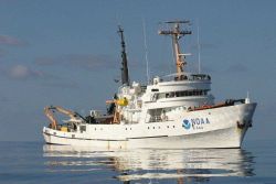 NOAA Ship DAVID STARR JORDAN Image