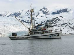 NOAA Ship JOHN N Image