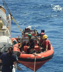 Launching rigid hull inflatable boat (RHIB) off of NOAA Ship KA'IMIMOANA (R333) Image