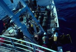 NOAA Ship TOWNSEND CROMWELL Image