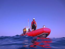 RHIB maintaining dive safety lookout off the NOAA Ship NANCY FOSTER. Image