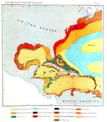 A bottom sediment map Image