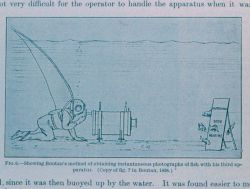 Boutan's method of obtaining instantaneous photographs of fish Image