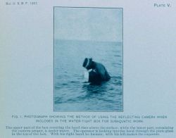 Method of using the reflecting camera for photographic work Image