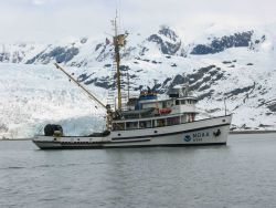 NOAA Ship JOHN N Image