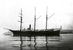 Coast and Geodetic Survey Steamer PATTERSON Image