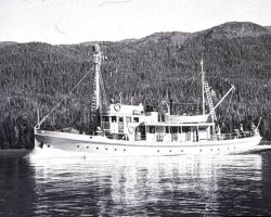 Coast and Geodetic Survey Ship PATTON Image