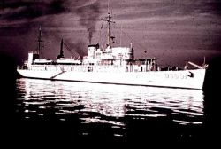 Coast and Geodetic Survey Ship PIONEER Image