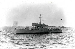 Coast and Geodetic Survey Ship STIRNI Image