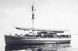 Coast and Geodetic Survey Ship SOSBEE Image