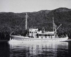 Coast and Geodetic Survey Ship PATTON Image