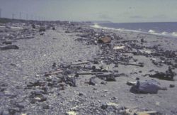 The beach at Nome Image