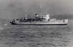 Coast and Geodetic Survey Ship PIONEER Image