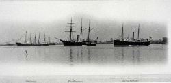 Coast and Geodetic Survey Ships GEDNEY, PATTERSON, AND MCARTHUR. Image