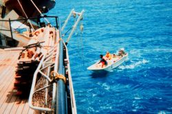 Boston whaler approaching WHITING Image