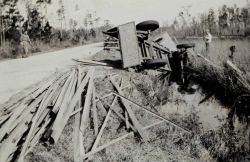 Result of collision between cow and steel truck Image