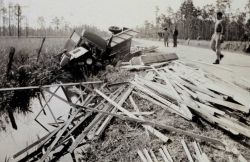 Result of collision between cow and steel truck Image