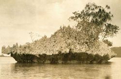 Erosion of coral leaving undercut mushroom-type islet. Image