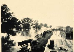 Flooding along the Mississippi River Image