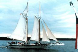 Jensen survey launch passing a Maine schooner Image