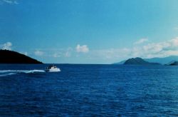 Jensen survey launch Image