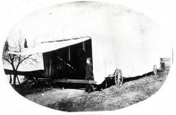 Yolo Buggy with George Davidson Image