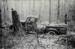 Bench mark truck bogged down in the swamp Image