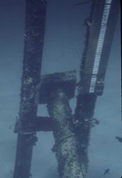 Orifice and tide staff for bubbler gauge on offshore structure Image