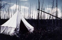 Camp on the Porcupine River Image
