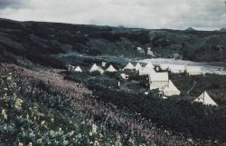 Camp at Wide Bay, Alaska Image