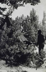 Camping in the bush Image