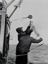 Deploying Nansen cast from PATHFINDER Image