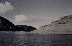 Earthquake uplift at McLeod Harbor, Montague Island Image