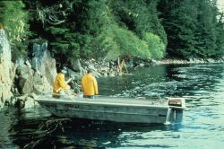 Leveling can be difficult on a shear rocky shoreline. Image