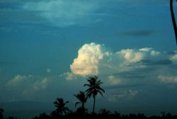 Towering Cumulus at sunset Photo