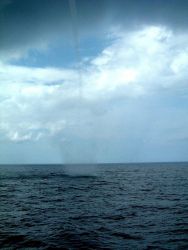 Waterspout observed from NOAA Ship RONALD H Image