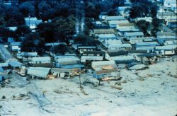 Damage to manufactured and mobile homes at Surfside Beach, South Carolina After passage of Hurricane Hugo Image
