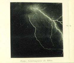 Lightning in the vicinity of Hamburg, Germany In: 