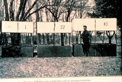 Different size kites for different altitudes Image