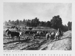 Levee building along the Mississippi River Image