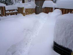 Snowmageddon: 17.8 inches at Reagan, 25 inches at Baltimore-Washington, and 32.4 inches at Dulles Airport Image