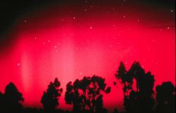 Aurora Australis, the Southern Lights Image