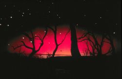 Aurora Australis, the Southern Lights Image