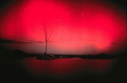 Aurora Australis, the Southern Lights Image