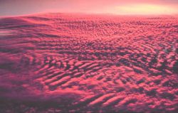 A glorious sunset illuminates altocumulus clouds as seen from above. Photo