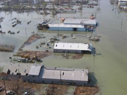 Venice still with at least two to three feet of water two weeks after Hurricane Katrina. Image