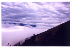 Valley fog below, clouds above. Image